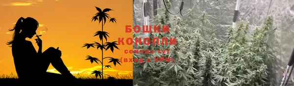 дживик Бугульма