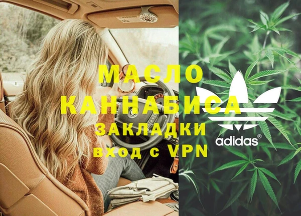 гидра Богородицк