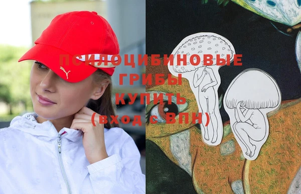 дживик Бугульма
