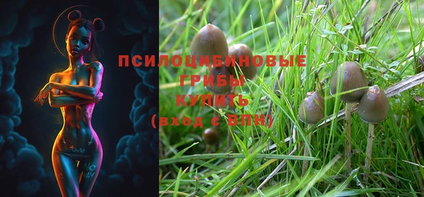 дживик Бугульма