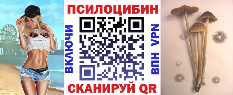 Галлюциногенные грибы прущие грибы  Купить  Зеленоградск 